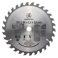 BGS Diy 3955 | Hartmetall-Kreissägeblatt | Ø 300 x