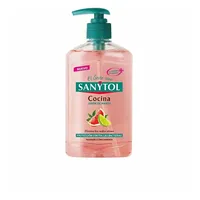 Sanytol Handseife Für Die Küche 1 Stück 250 ml