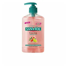 Sanytol Handseife Für Die Küche 1 Stück 250 ml