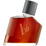 bruno banani Magnetic Man Eau de Toilette 50 ml