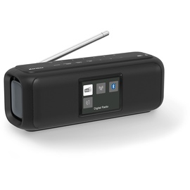 Karcher DAB Go tragbarer Bluetooth Lautsprecher & Digitalradio DAB+ UKW Radio mit 2,4" Farbdisplay/