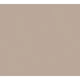 A.S. Création Vliestapete glatte Wand Tapete Unitapete 10,05 m x 0,53 m 309167 3091-67, Beige/Braun