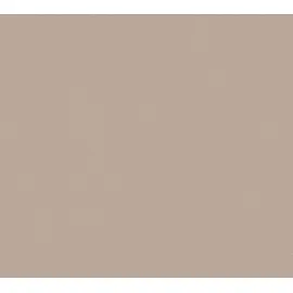 A.S. Création Vliestapete glatte Wand Tapete Unitapete 10,05 m x 0,53 m 309167 3091-67, Beige/Braun