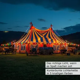 SPICELITE LED Lichterkette 10 m Schwarz