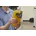 Networks Module Erweiterungs-Kit CFP-SM-ADD