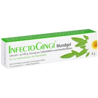 INFECTOPHARM Arzn.u.Consilium GmbH INFECTOGINGI Mundgel