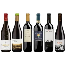 Probierpaket «Exklusive Rotweine» 6 x 1 Fl. = 6 Fl. Wein, Bio Probierpakete