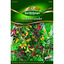 Quedlinburger Schönranke Red & Cream Mischung''