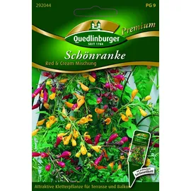 Quedlinburger Schönranke Red & Cream Mischung''