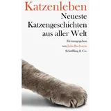 Schöffling Katzenleben