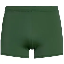 Protest Badeshorts Carst Grün XS