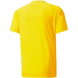 Puma Teamvision Trikot (704921)