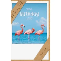 BSB Geburtstagskarte Nature Card 69-1041-2 Nature Card