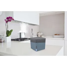 Wenko Nachfüller Raumentfeuchter Cube 1000 g Nachfüllpack, reduziert Schimmel & Gerüche, 1 kg Granulatblock