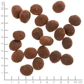 Wolfsblut Black Marsh Adult 12,5 kg