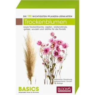 Trockenblumen/Trockenfloralien