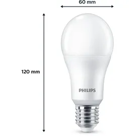 Philips LED-Lampe 100 W E27 2700 K warmweiß 6 St.