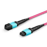 Lanview 12 cores MTP/UPC-MTP/UPC (3 m), Netzwerkkabel