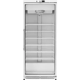Royal Catering Gefrierschrank - 580 L - - Glastür - Silbern - Kältemittel R290