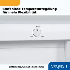 GGV Exquisit Exquisit Gefrierschrank, Tiefkühlschrank, 4-Sterne-Gefrieren, 91 Liter, Gefrierschrank klein, GS512-040E weiss