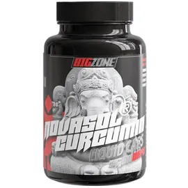 Big-Zone Big Zone NovaSol Curcumin Kapseln 90 St.