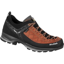 Salewa MS MTN Trainer 2 GTX autumnal/black (7519) 11