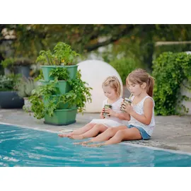 Gusta Garden Paul Potato 44 x 44 x 65 cm Dunkelgrün