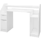 ML-Design Computertisch mit Schublade Tür Stauraum 123,2x90 cm Weiß aus Holz