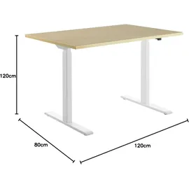 TOPSTAR Schreibtisch elektrisch höhenverstellbar Ahorn / Weiß