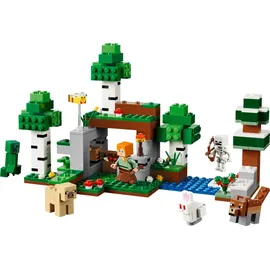 LEGO Minecraft Erstes Abenteuer in der Nacht 21593