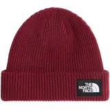 The North Face Salty Lined Mütze - Burgundy Crush - One Size
