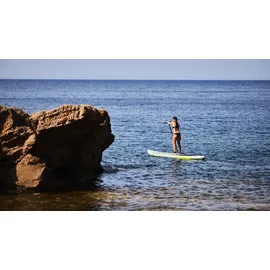 Fanatic Fly Air SLT 315 x 81 x 15 cm grau/grün