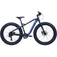 Fatbike SIGN Fahrräder Gr. 43 cm, 26 Zoll (66,04 cm), schwarz Bestseller Fahrräder
