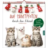 St. Benno Auf Samtpfoten durch den Advent