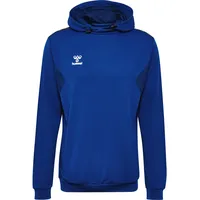 Hummel hmlAUTHENTIC PL Hoodie