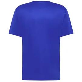 Jack Wolfskin Peak Graphic Kurzarm-t-shirt - Mtn Vibrant Blue - L