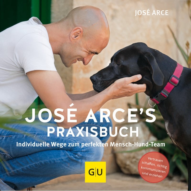 José Arce's Praxisbuch - José Arce, Kartoniert (TB)