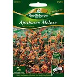 Quedlinburger Saatgut Quedlinburger Aprikosen-Melisse Apricot Sprite Loses Saatgut