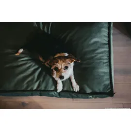 Hunter Hundekissen Merida XL 120 x 75 cm oliv