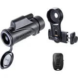 Vanguard Vesta 8x32 Mono