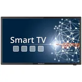 Megasat Royal Line IV 19" LED HD Camping Smart TV