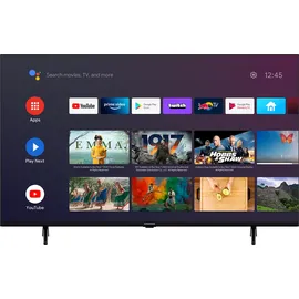 Grundig 55 VCE 223 55" 4K LED TV