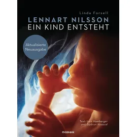 Mosaik Ein Kind entsteht