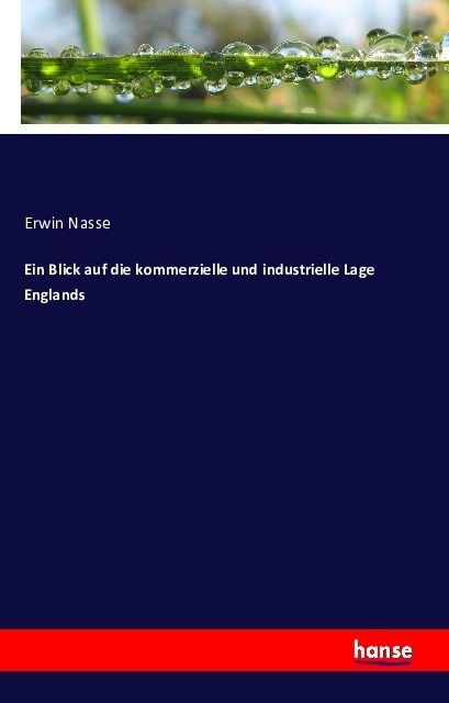 Ein Blick Auf Die Kommerzielle Und Industrielle Lage Englands - Erwin Nasse  Kartoniert (TB)