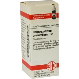 DHU-ARZNEIMITTEL HARPAGOPHYTUM PROC D 2