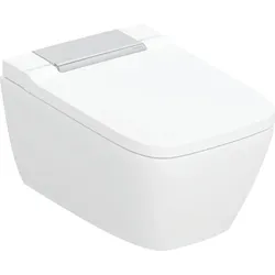 Dusch-WC in glanzchrom, Befestigung sichtbar