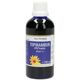 GALL PHARMA Topinambur GPH Tropfen 100 ml