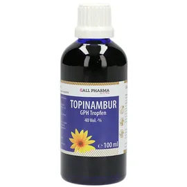 GALL PHARMA Topinambur GPH Tropfen 100 ml
