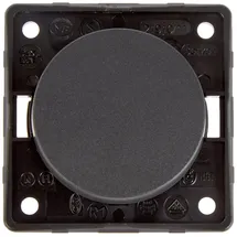 Berker Integro Flow/Pure Ausschalter anthrazit matt, lose