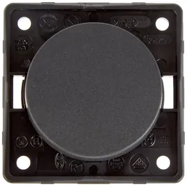 Berker Integro Flow/Pure Ausschalter anthrazit matt, lose